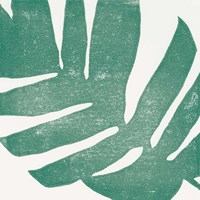 Tropical Treasures II Fine Art Print