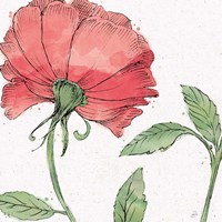 Blossom Sketches IV Color Fine Art Print