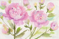 Bright Peonies Fine Art Print