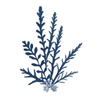 Pacific Sea Mosses Blue on White III Fine Art Print