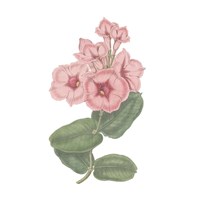 Monument Etching Tile Flowers VI Framed Print