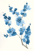 Blue Branch IV Framed Print