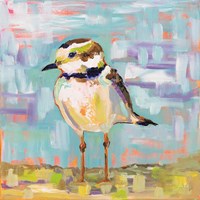 Coastal Plover II Fine Art Print