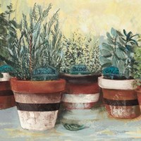 Potted Herbs II Stripes Crop Fine Art Print