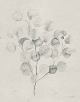 Soft Summer Sketches II Light Fine Art Print