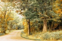 Crisp Season Fine Art Print