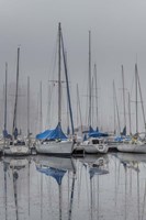 Sailing Boats Fine Art Print