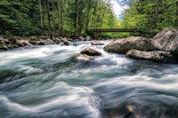 Rocky River Stream Fine Art Print