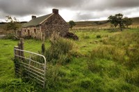 Once at Home Fine Art Print