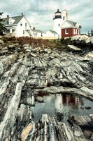 Harbor Land Fine Art Print