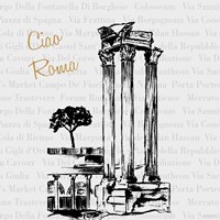 Travel Pack III Framed Print