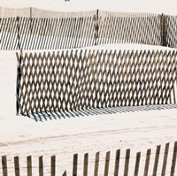 Beach Fence II Fine Art Print