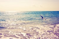 Fly Away Fine Art Print