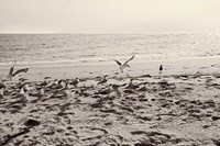 Dream of the Beach II Fine Art Print