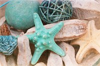 Bundle of Shells I Fine Art Print