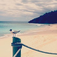 Island Vacation III Fine Art Print