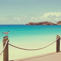 On Deck II Fine Art Print