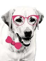 Pink Pop on Pup Fine Art Print