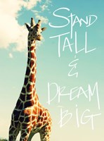 Stand Tall And Dream Big Fine Art Print