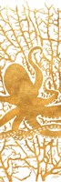 Sealife on Gold I Framed Print