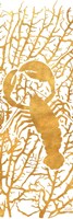 Sealife on Gold II Framed Print
