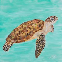 Sea Turtle I Framed Print
