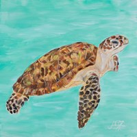 Sea Turtle I Fine Art Print