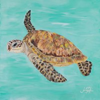 Sea Turtle II Framed Print