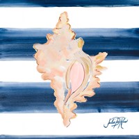Nautical Shell II Fine Art Print