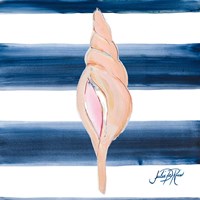 Nautical Shell IV Fine Art Print