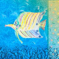 Under the Sea IV Framed Print