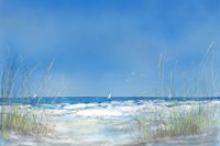Grassy Seascape Fine Art Print