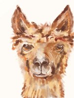 Goofy Llama II Fine Art Print