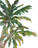 Tropical Trees on White I Fine Art Print