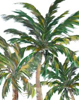 Tropical Trees on White III Fine Art Print