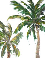 Tropical Trees on White II Fine Art Print