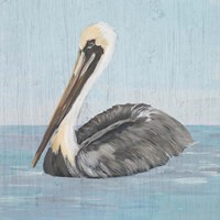 Pelican Wash I Fine Art Print