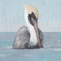 Pelican Wash II Fine Art Print