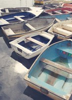 Eastern Coastal Fine Art Print