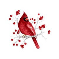 Winter Cardinal in Red I Fine Art Print