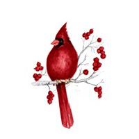 Winter Cardinal in Red II Fine Art Print
