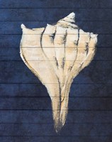 Beach Finds Navy II Fine Art Print