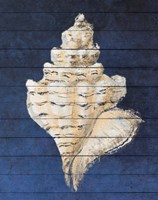 Beach Finds Navy I Fine Art Print