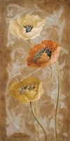 Poppies de Brun II Fine Art Print