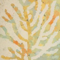 Coral Vision I Framed Print