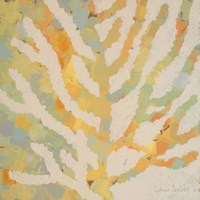 Coral Vision II Framed Print