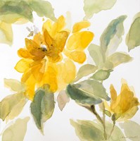 Early May Blooms I Fine Art Print