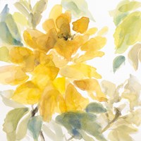 Early May Blooms II Fine Art Print