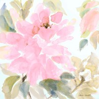 Early Pink Blooms II Fine Art Print