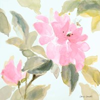 Early Pink Blooms I Fine Art Print